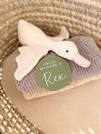 Hello / Name Plaque